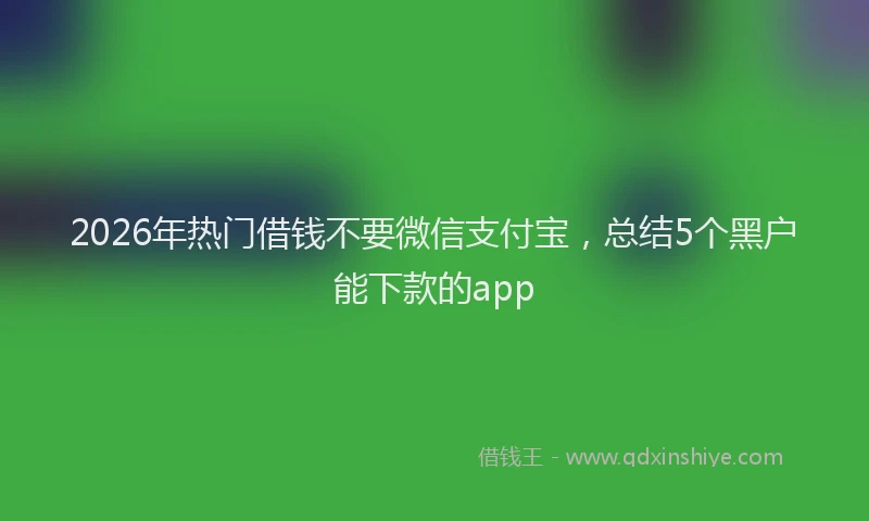 2026年热门借钱不要微信支付宝，总结5个黑户能下款的app