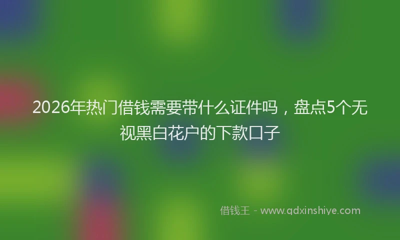 2026年热门借钱需要带什么证件吗，盘点5个无视黑白花户的下款口子