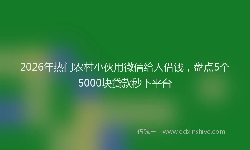 2026年热门农村小伙用微信给人借钱，盘点5个5000块贷款秒下平台