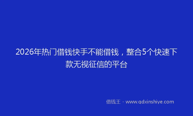 2026年热门借钱快手不能借钱，整合5个快速下款无视征信的平台