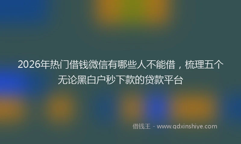 2026年热门借钱微信有哪些人不能借，梳理五个无论黑白户秒下款的贷款平台