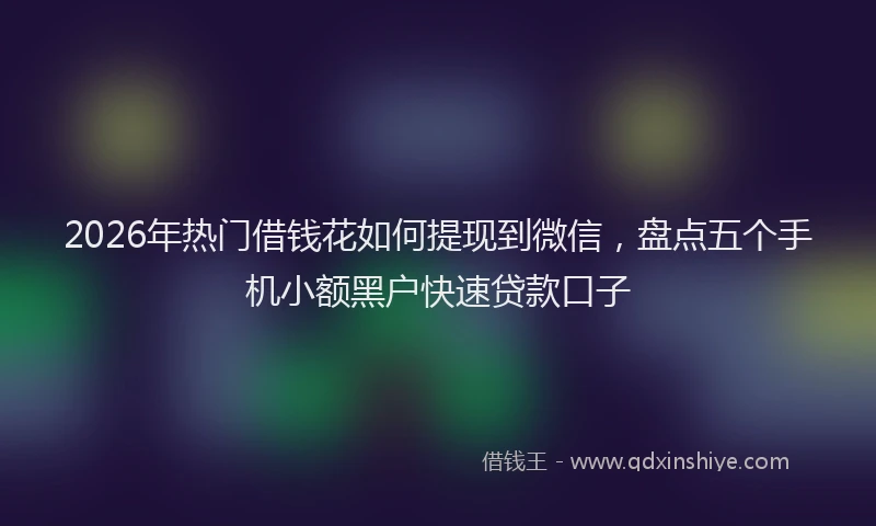2026年热门借钱花如何提现到微信，盘点五个手机小额黑户快速贷款口子