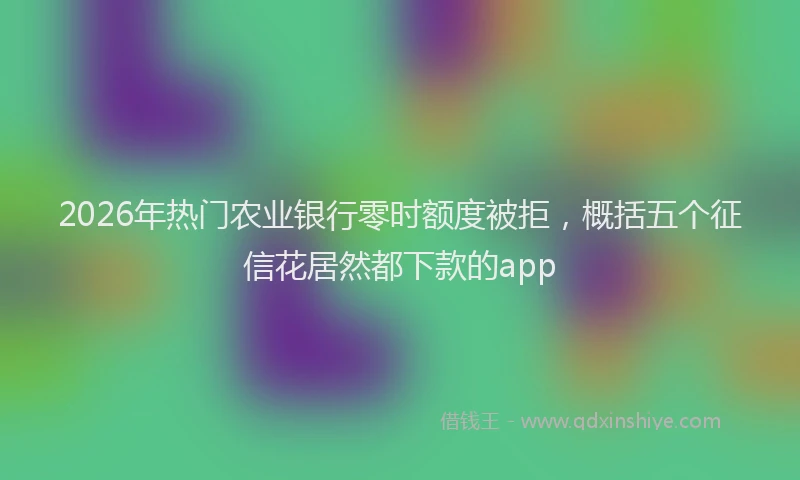 2026年热门农业银行零时额度被拒，概括五个征信花居然都下款的app