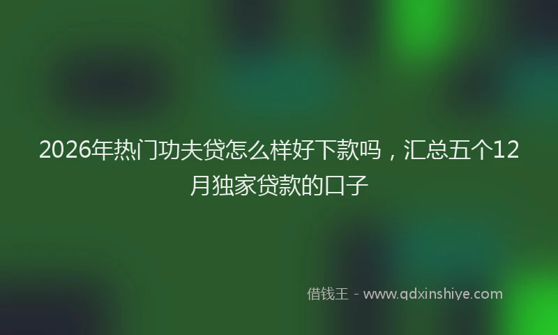 2026年热门功夫贷怎么样好下款吗，汇总五个12月独家贷款的口子