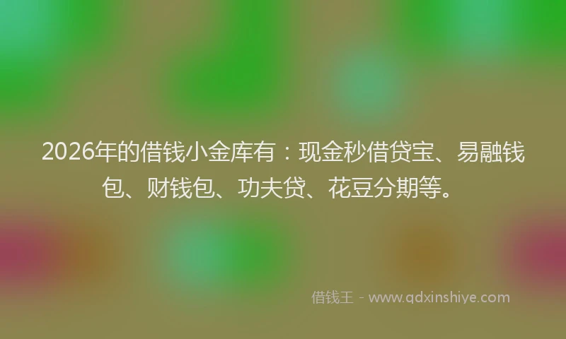 2026年的借钱小金库有：现金秒借贷宝、易融钱包、财钱包、功夫贷、花豆分期等。