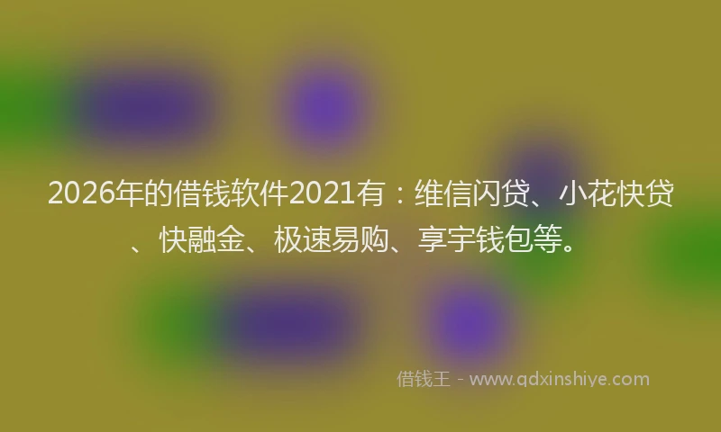 2026年的借钱软件2021有：维信闪贷、小花快贷、快融金、极速易购、享宇钱包等。