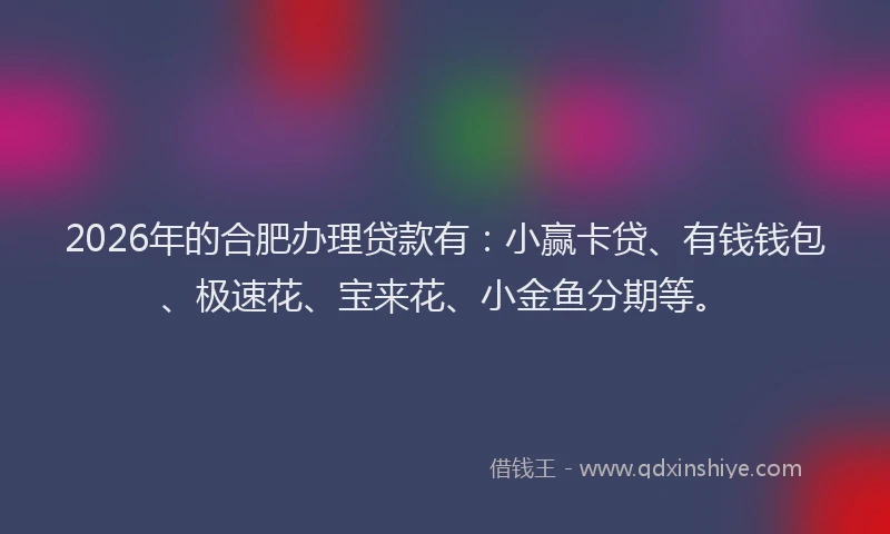 2026年的合肥办理贷款有：小赢卡贷、有钱钱包、极速花、宝来花、小金鱼分期等。