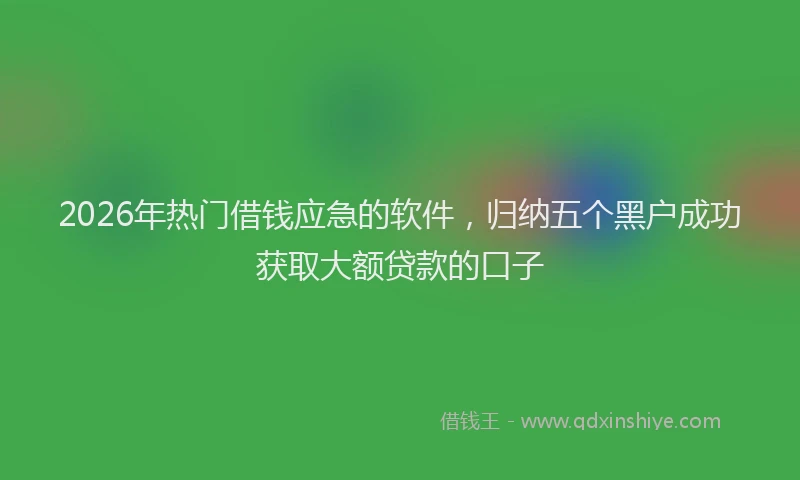 2026年热门借钱应急的软件，归纳五个黑户成功获取大额贷款的口子