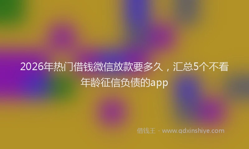2026年热门借钱微信放款要多久，汇总5个不看年龄征信负债的app