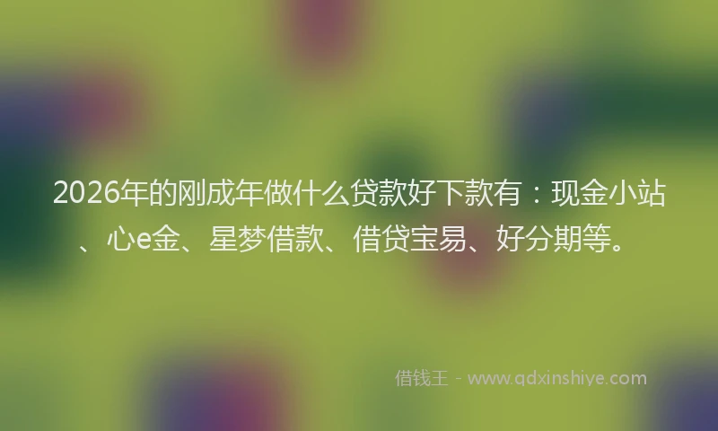 2026年的刚成年做什么贷款好下款有：现金小站、心e金、星梦借款、借贷宝易、好分期等。