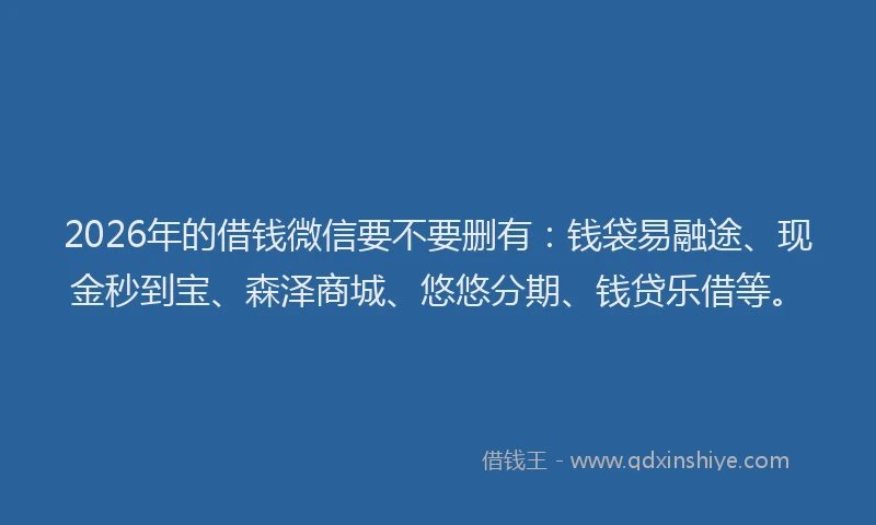 2026年的借钱微信要不要删有：钱袋易融途、现金秒到宝、森泽商城、悠悠分期、钱贷乐借等。