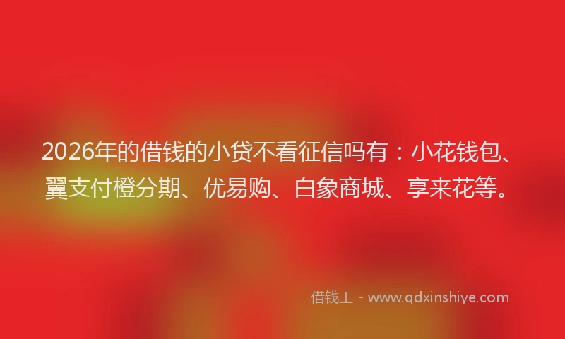 2026年的借钱的小贷不看征信吗有：小花钱包、翼支付橙分期、优易购、白象商城、享来花等。