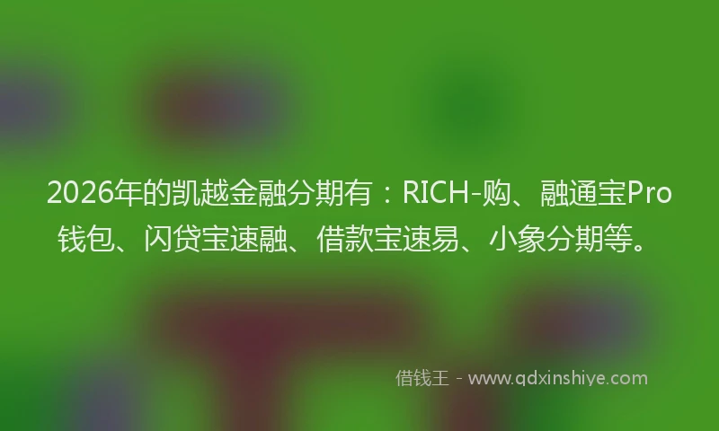 2026年的凯越金融分期有：RICH-购、融通宝Pro钱包、闪贷宝速融、借款宝速易、小象分期等。
