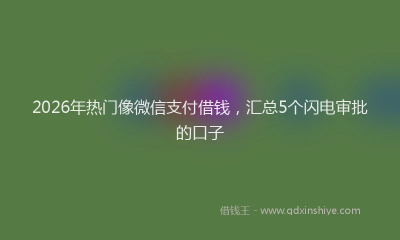2026年热门像微信支付借钱，汇总5个闪电审批的口子