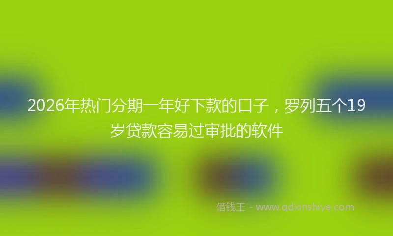 2026年热门分期一年好下款的口子，罗列五个19岁贷款容易过审批的软件