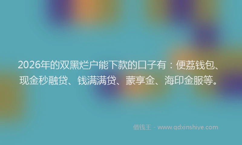 2026年的双黑烂户能下款的口子有：便荔钱包、现金秒融贷、钱满满贷、蒙享金、海印金服等。