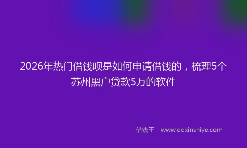 2026年热门借钱呗是如何申请借钱的，梳理5个苏州黑户贷款5万的软件