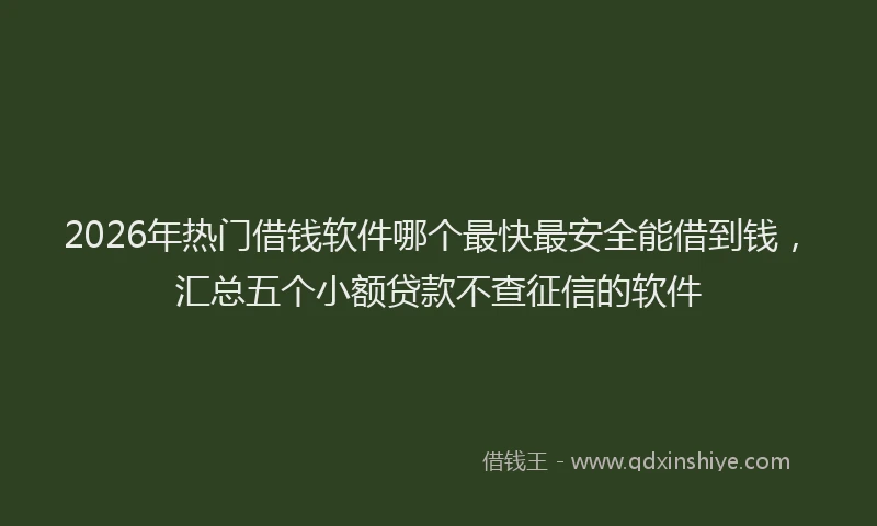 2026年热门借钱软件哪个最快最安全能借到钱，汇总五个小额贷款不查征信的软件