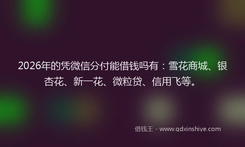 2026年的凭微信分付能借钱吗有：雪花商城、银杏花、新一花、微粒贷、信用飞等。