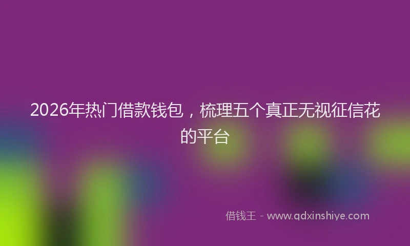 2026年热门借款钱包，梳理五个真正无视征信花的平台