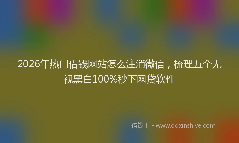 2026年热门借钱网站怎么注消微信，梳理五个无视黑白100%秒下网贷软件