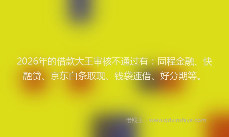 2026年的借款大王审核不通过有：同程金融、快融贷、京东白条取现、钱袋速借、好分期等。