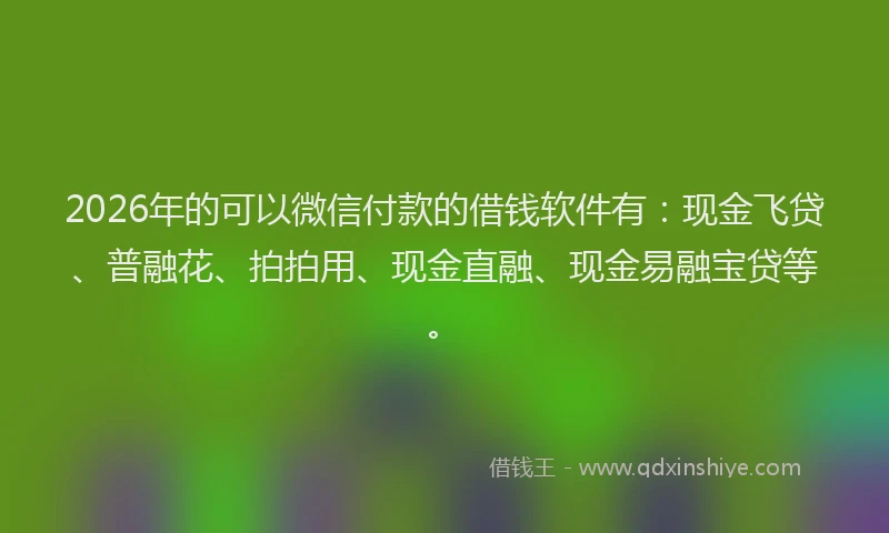 2026年的可以微信付款的借钱软件有：现金飞贷、普融花、拍拍用、现金直融、现金易融宝贷等。