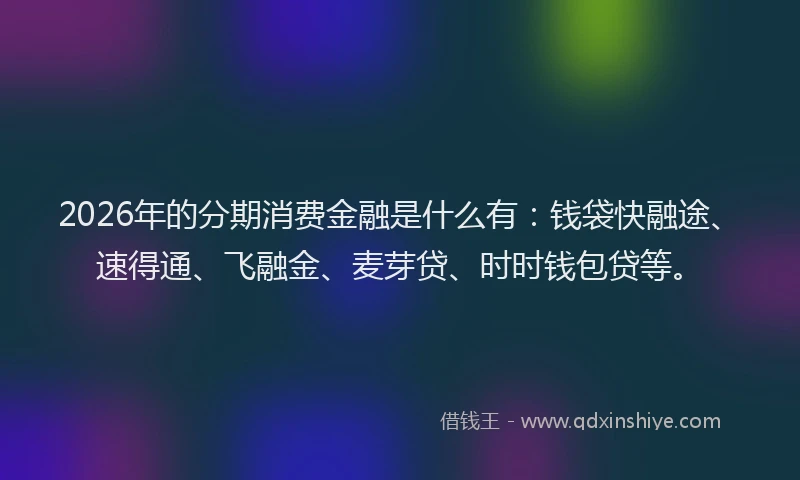 2026年的分期消费金融是什么有：钱袋快融途、速得通、飞融金、麦芽贷、时时钱包贷等。