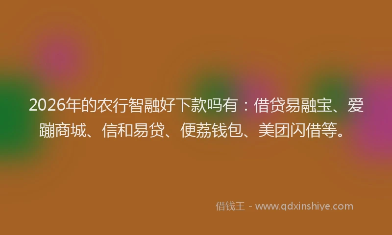 2026年的农行智融好下款吗有：借贷易融宝、爱蹦商城、信和易贷、便荔钱包、美团闪借等。