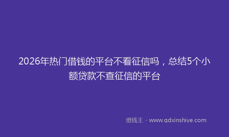 2026年热门借钱的平台不看征信吗，总结5个小额贷款不查征信的平台