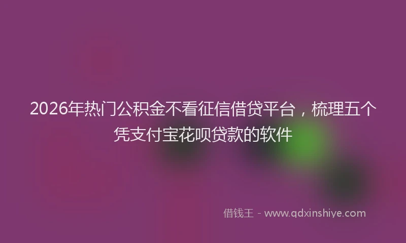 2026年热门公积金不看征信借贷平台，梳理五个凭支付宝花呗贷款的软件