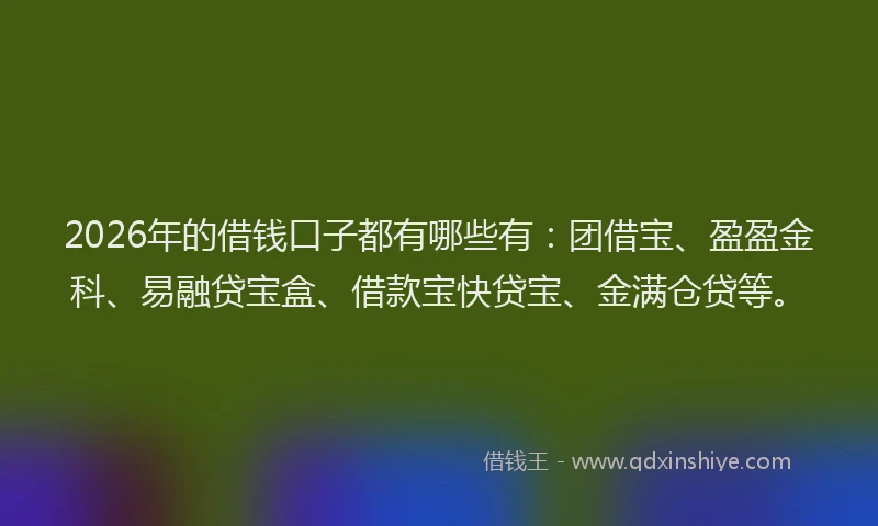 2026年的借钱口子都有哪些有：团借宝、盈盈金科、易融贷宝盒、借款宝快贷宝、金满仓贷等。