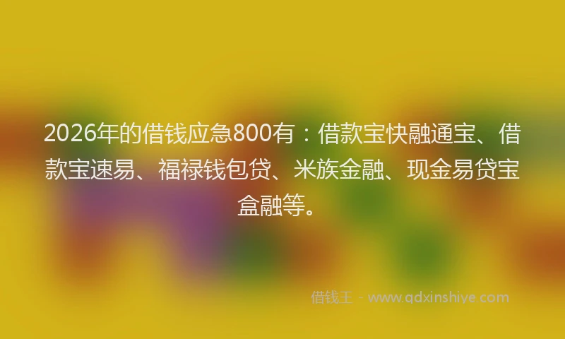 2026年的借钱应急800有：借款宝快融通宝、借款宝速易、福禄钱包贷、米族金融、现金易贷宝盒融等。