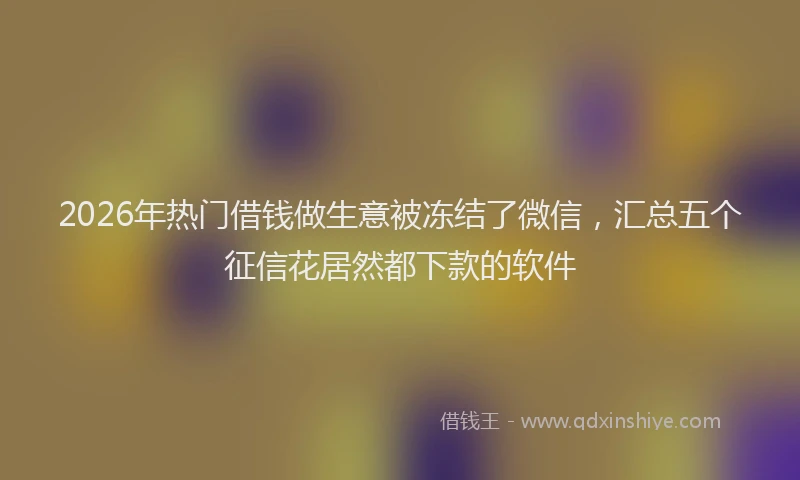 2026年热门借钱做生意被冻结了微信，汇总五个征信花居然都下款的软件