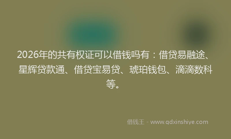 2026年的共有权证可以借钱吗有：借贷易融途、星辉贷款通、借贷宝易贷、琥珀钱包、滴滴数科等。
