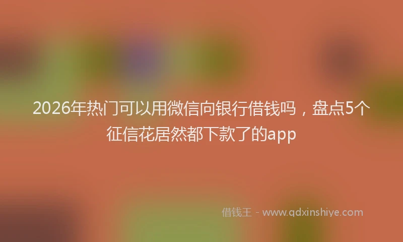2026年热门可以用微信向银行借钱吗，盘点5个征信花居然都下款了的app