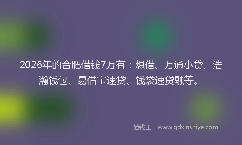 2026年的合肥借钱7万有：想借、万通小贷、浩瀚钱包、易借宝速贷、钱袋速贷融等。