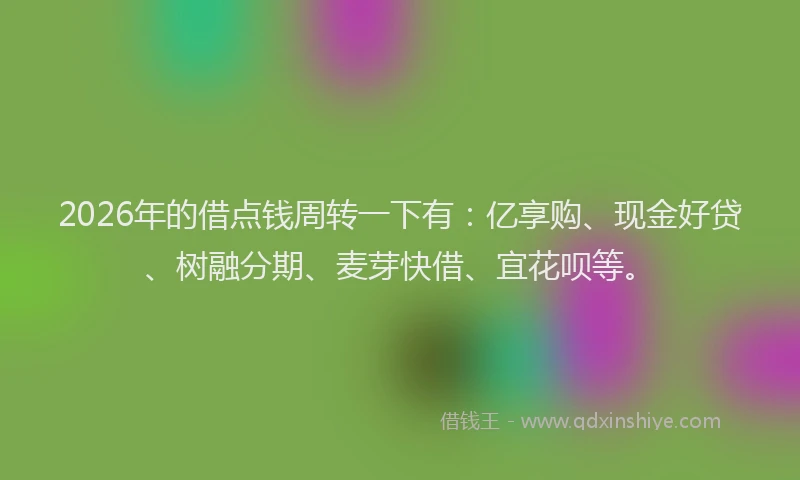 2026年的借点钱周转一下有：亿享购、现金好贷、树融分期、麦芽快借、宜花呗等。