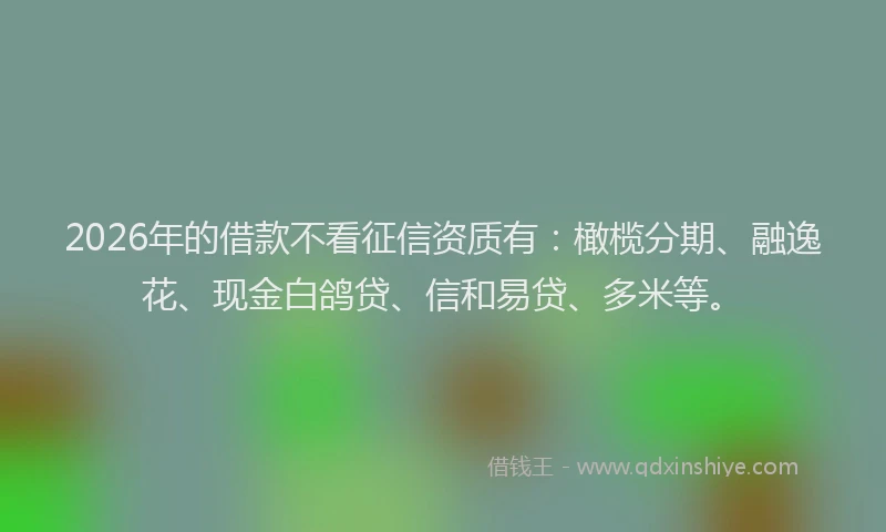 2026年的借款不看征信资质有：橄榄分期、融逸花、现金白鸽贷、信和易贷、多米等。
