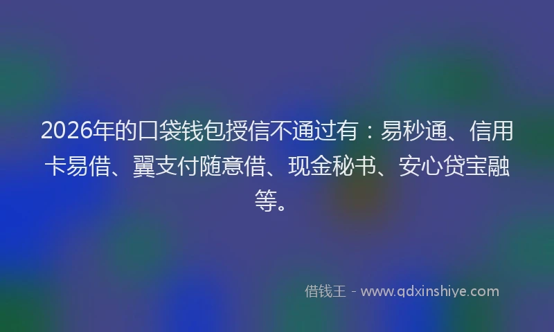 2026年的口袋钱包授信不通过有：易秒通、信用卡易借、翼支付随意借、现金秘书、安心贷宝融等。