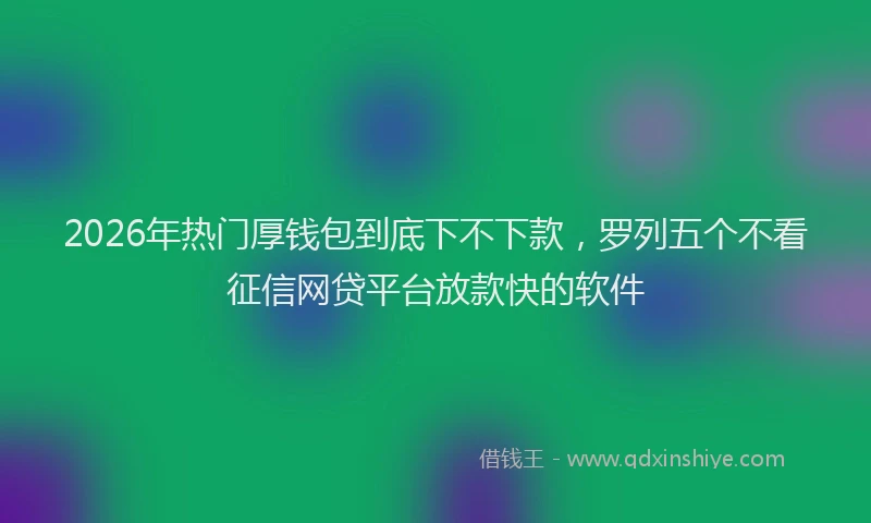 2026年热门厚钱包到底下不下款，罗列五个不看征信网贷平台放款快的软件