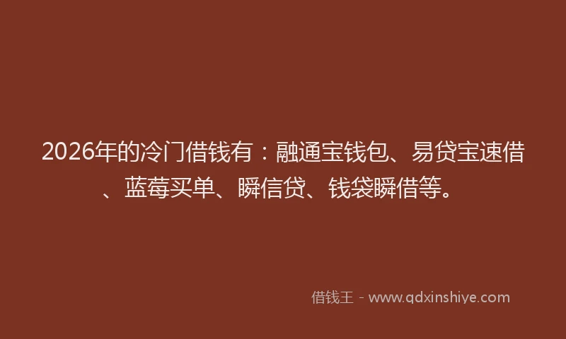 2026年的冷门借钱有：融通宝钱包、易贷宝速借、蓝莓买单、瞬信贷、钱袋瞬借等。