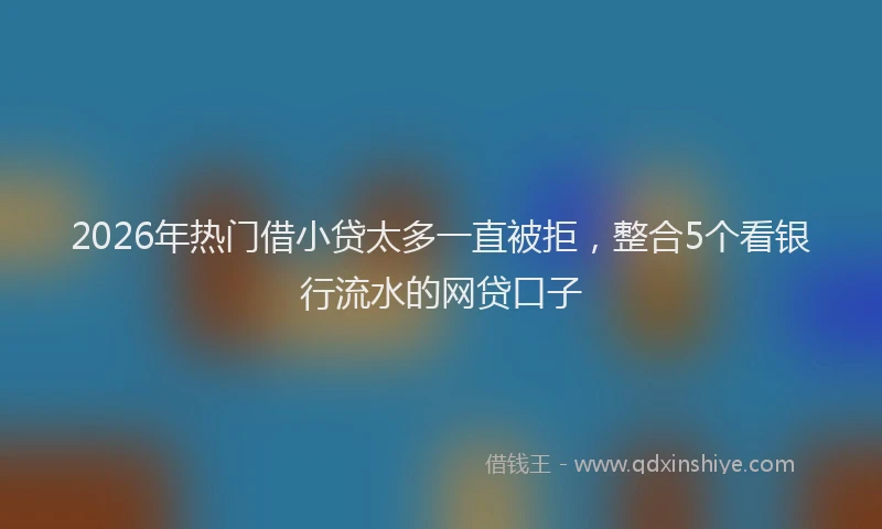 2026年热门借小贷太多一直被拒，整合5个看银行流水的网贷口子