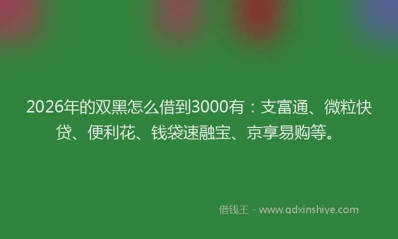 2026年的双黑怎么借到3000有：支富通、微粒快贷、便利花、钱袋速融宝、京享易购等。