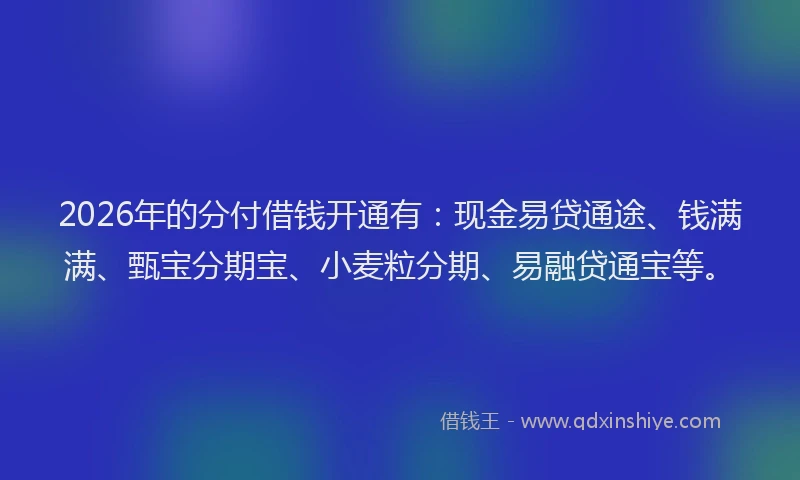 2026年的分付借钱开通有：现金易贷通途、钱满满、甄宝分期宝、小麦粒分期、易融贷通宝等。