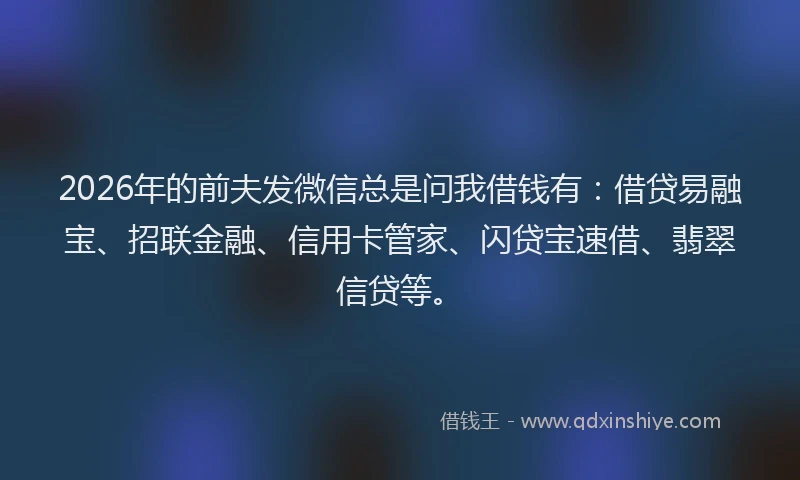 2026年的前夫发微信总是问我借钱有：借贷易融宝、招联金融、信用卡管家、闪贷宝速借、翡翠信贷等。