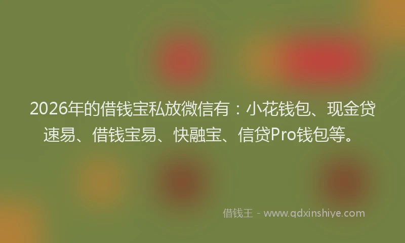 2026年的借钱宝私放微信有：小花钱包、现金贷速易、借钱宝易、快融宝、信贷Pro钱包等。