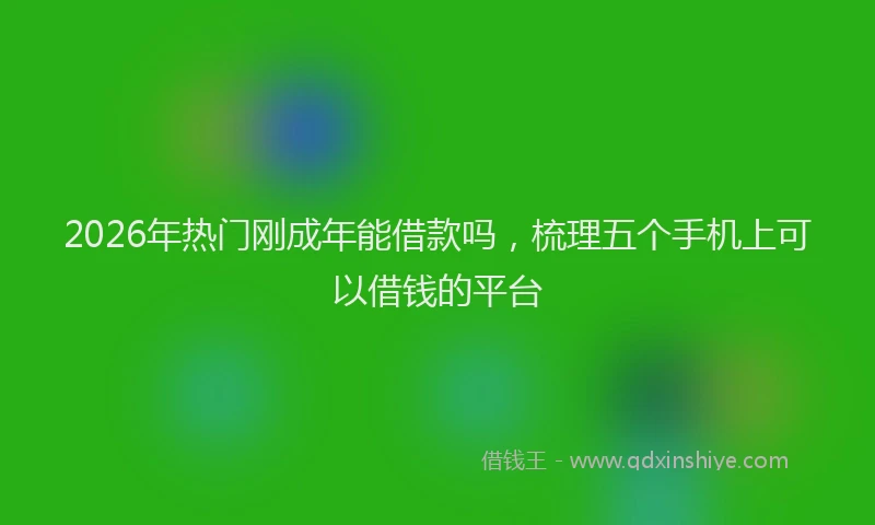 2026年热门刚成年能借款吗，梳理五个手机上可以借钱的平台