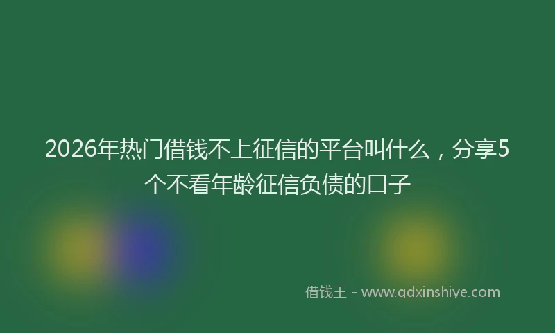 2026年热门借钱不上征信的平台叫什么，分享5个不看年龄征信负债的口子