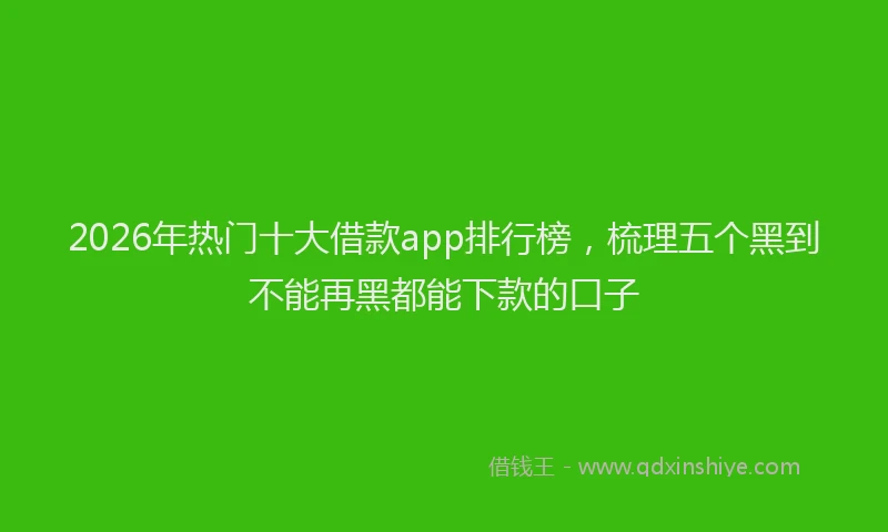 2026年热门十大借款app排行榜，梳理五个黑到不能再黑都能下款的口子